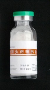 頭孢噻呋鈉銷售!頭孢噻呋鈉是全球第一個(gè)畜禽專用的第三代頭孢菌素,屬廣譜抗生素,對(duì)革蘭氏陽性菌和革蘭氏陰性菌均有強(qiáng)大的抗菌活性?！精F藥名稱】通用名:頭孢噻呋鈉 英文名:Ceftiofur Sodium漢語拼音:Toubaosaifuna【化學(xué)名稱】[6R-[6α,7β(Z)]]-7-[[(2-氨基-4-噻唑基)(甲氧 .中國(guó)蘭壽網(wǎng)(中國(guó)蘭壽金魚網(wǎng)) [ChinaGoldFish]